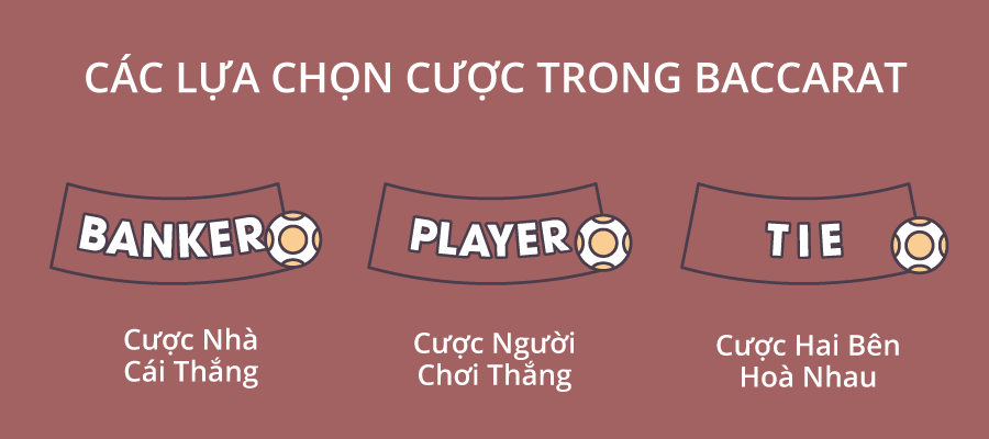 Các lựa chọn cược trong baccarat