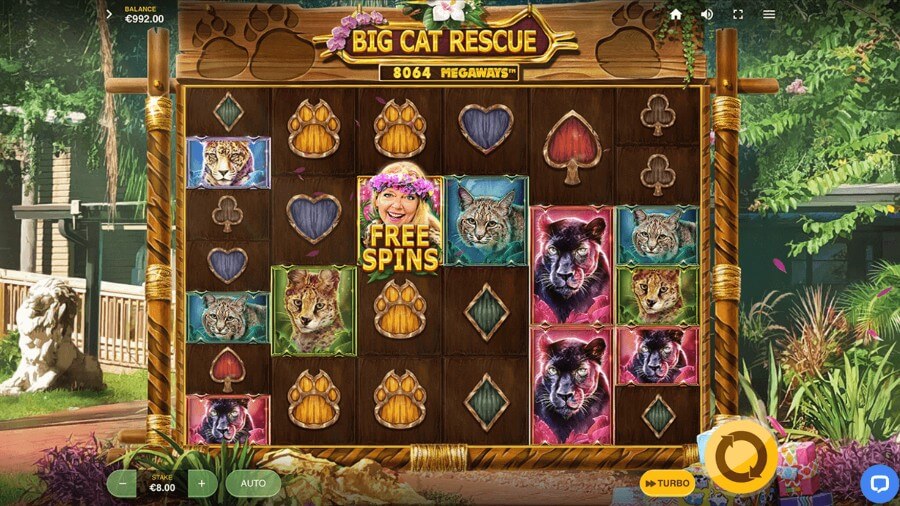 game slot Big Cat Rescue Megaways