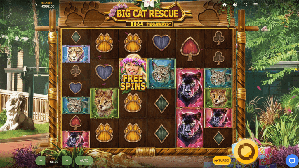game slot Big Cat Rescue Megaways